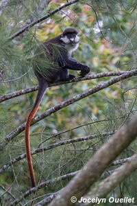 Kasenda Craters Region - Uganda