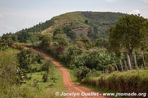 Région des cratères de Kasenda - Ouganda