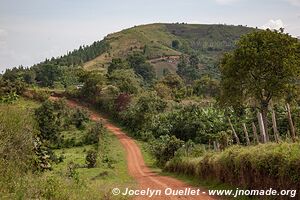 Kasenda Craters Region - Uganda