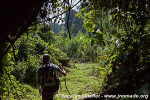 Région des cratères de Kasenda - Ouganda