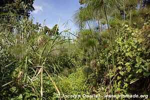 Kasenda Craters Region - Uganda