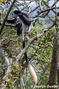 Kasenda Craters Region - Uganda