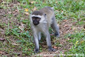 Région des cratères de Kasenda - Ouganda