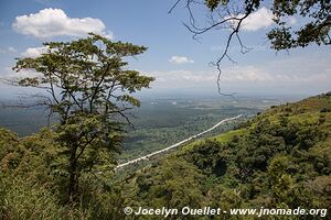 Réserve faunique de Semuliki - Ouganda