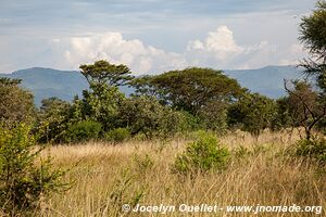Semuliki Wildlife Reserve - Uganda