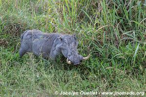 Semuliki Wildlife Reserve - Uganda