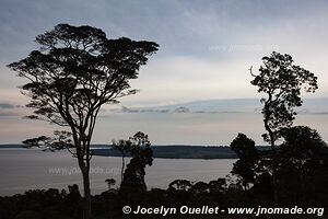 îles de Ssese - Ouganda