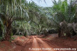 Ssese Islands - Uganda