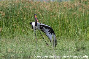 Lake Albert - Uganda