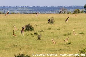 Murchison Falls National Park - Uganda