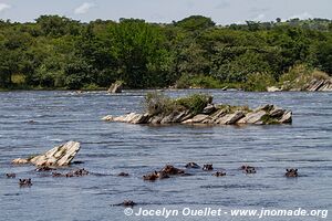 Murchison Falls National Park - Uganda