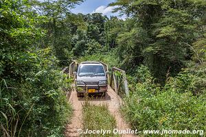 Parc national des chutes de Murchison - Ouganda