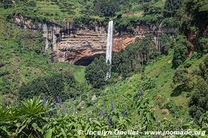 Région du mont Elgon - Ouganda