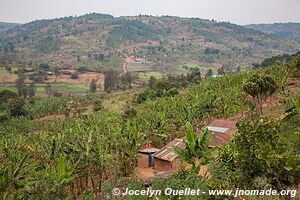 Miscellaneous - Rwanda