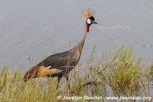 Akagera National Park - Rwanda