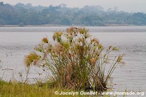 Parc national de l'Akagera - Rwanda