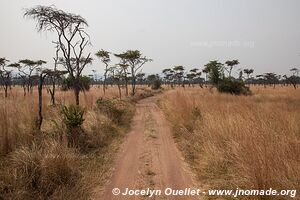 Parc national de l'Akagera - Rwanda