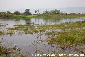 Parc national de l'Akagera - Rwanda