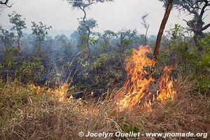 Parc national de l'Akagera - Rwanda