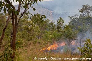 Parc national de l'Akagera - Rwanda