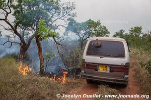 Akagera National Park - Rwanda