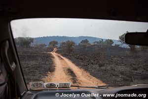 Akagera National Park - Rwanda