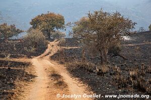 Parc national de l'Akagera - Rwanda