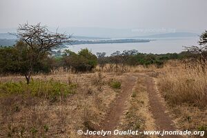 Akagera National Park - Rwanda