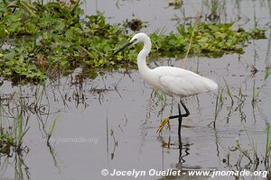 Akagera National Park - Rwanda