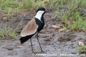 Parc national de l'Akagera - Rwanda