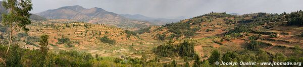 Le pays des milles collines - Rwanda