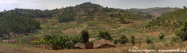 Le pays des milles collines - Rwanda