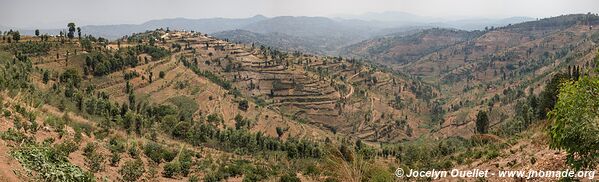 Le pays des milles collines - Rwanda