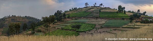 Le pays des milles collines - Rwanda