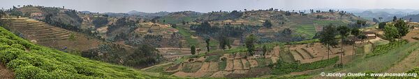 Land of a Thousand Hills - Rwanda