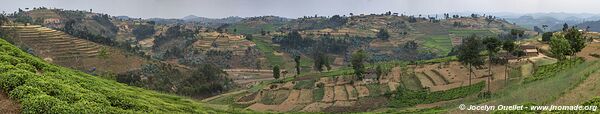 Le pays des milles collines - Rwanda