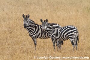 Akagera National Park - Rwanda