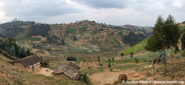 Le pays des milles collines - Rwanda