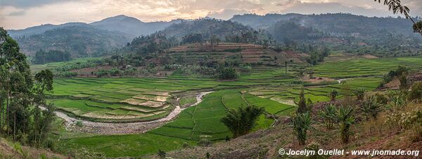 Le pays des milles collines - Rwanda