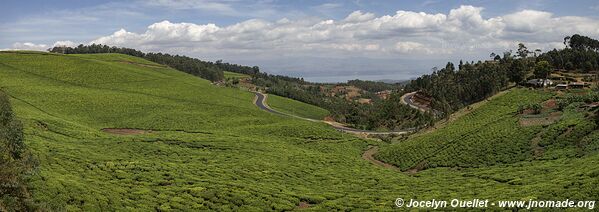 Le pays des milles collines - Rwanda