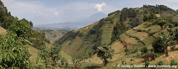 Le pays des milles collines - Rwanda