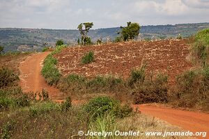 Lac Muhazi - Rwanda