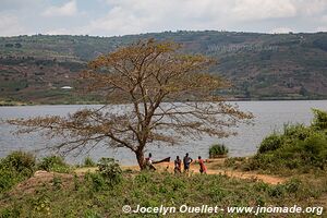 Lac Muhazi - Rwanda