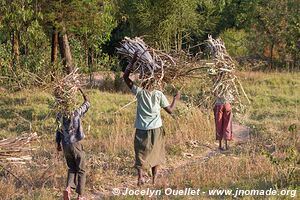 Le pays des milles collines - Rwanda