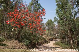 Land of a Thousand Hills - Rwanda