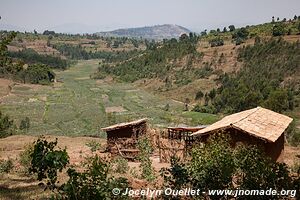 Le pays des milles collines - Rwanda