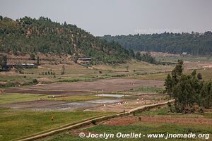 Land of a Thousand Hills - Rwanda