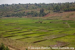 Le pays des milles collines - Rwanda