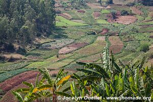 Le pays des milles collines - Rwanda