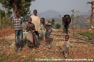 Land of a Thousand Hills - Rwanda